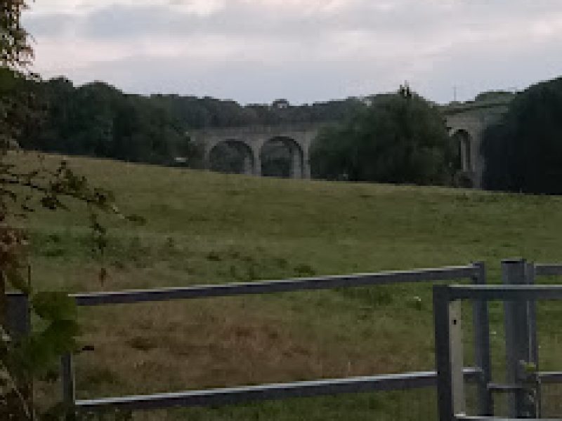 Cannington viaduct