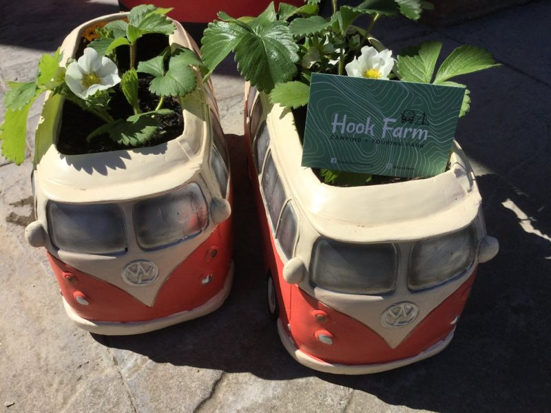 Hoo Farm flower pots